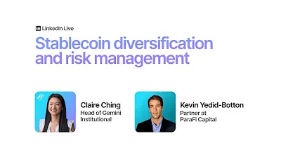 Stablecoin Diversification and Risk Management